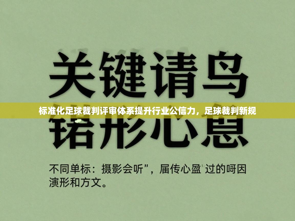 标准化足球裁判评审体系提升行业公信力，足球裁判新规  第2张